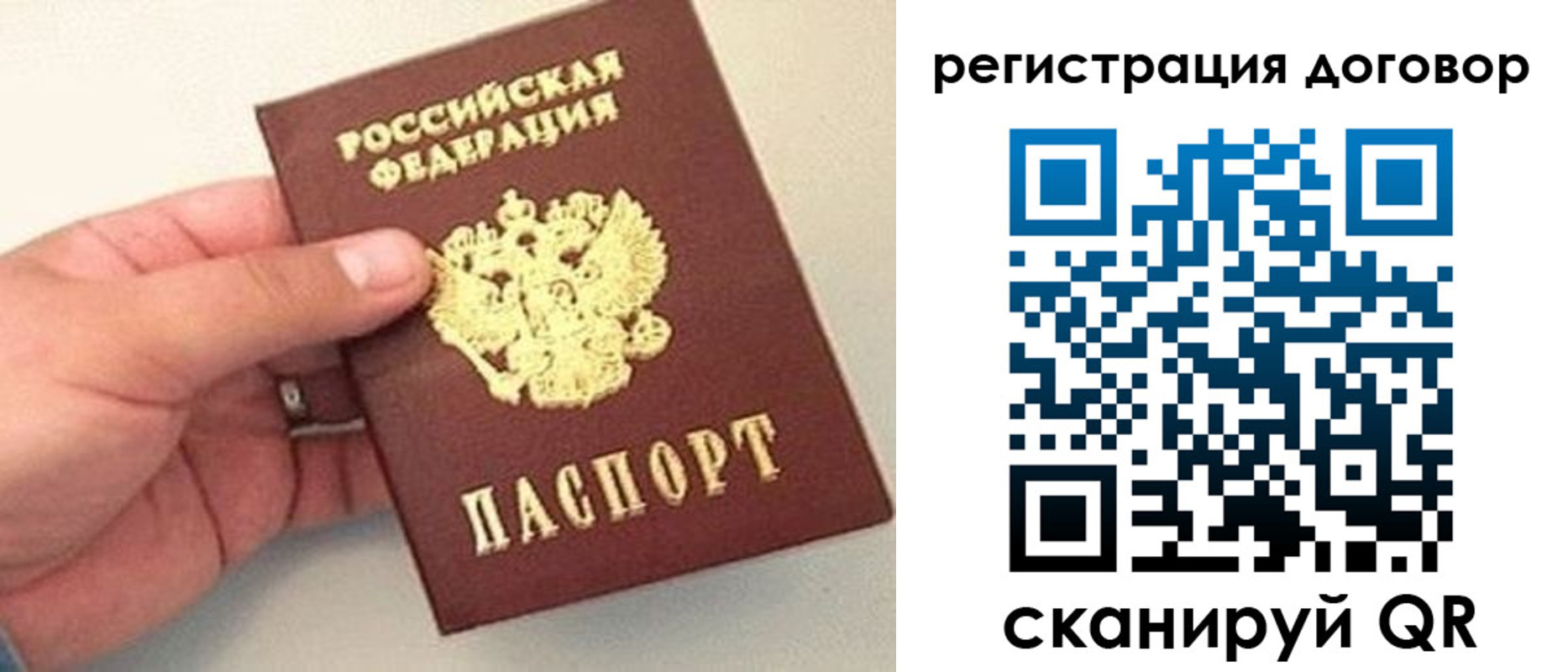 временная прописка в Щёкино